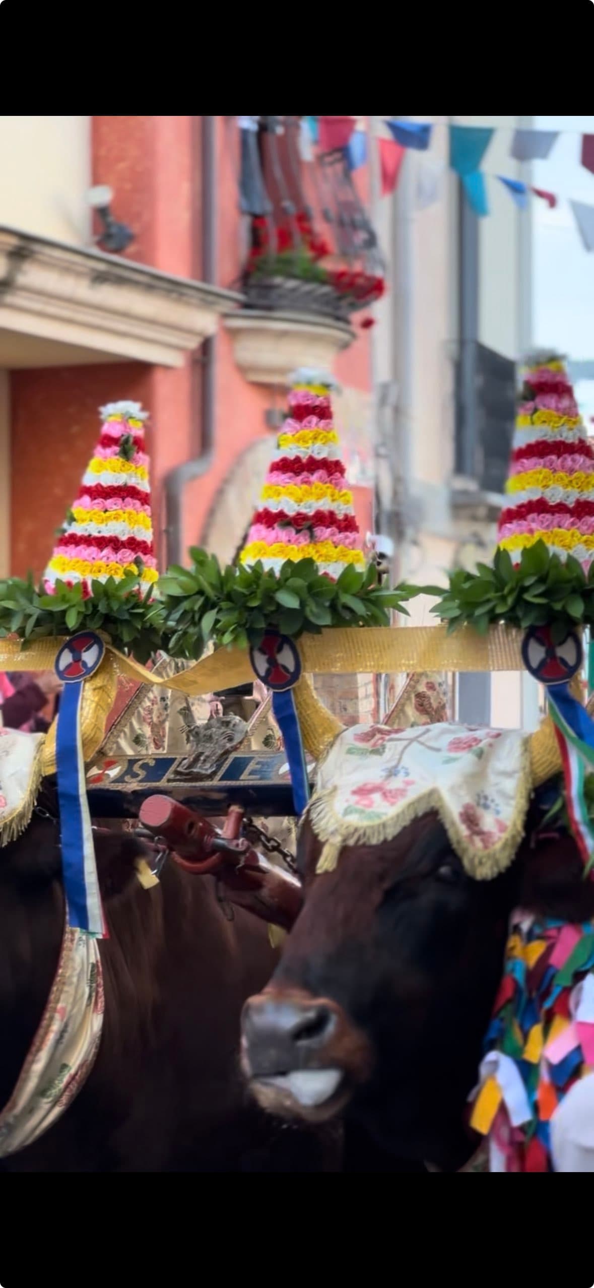 Arriva Sant’Efisio