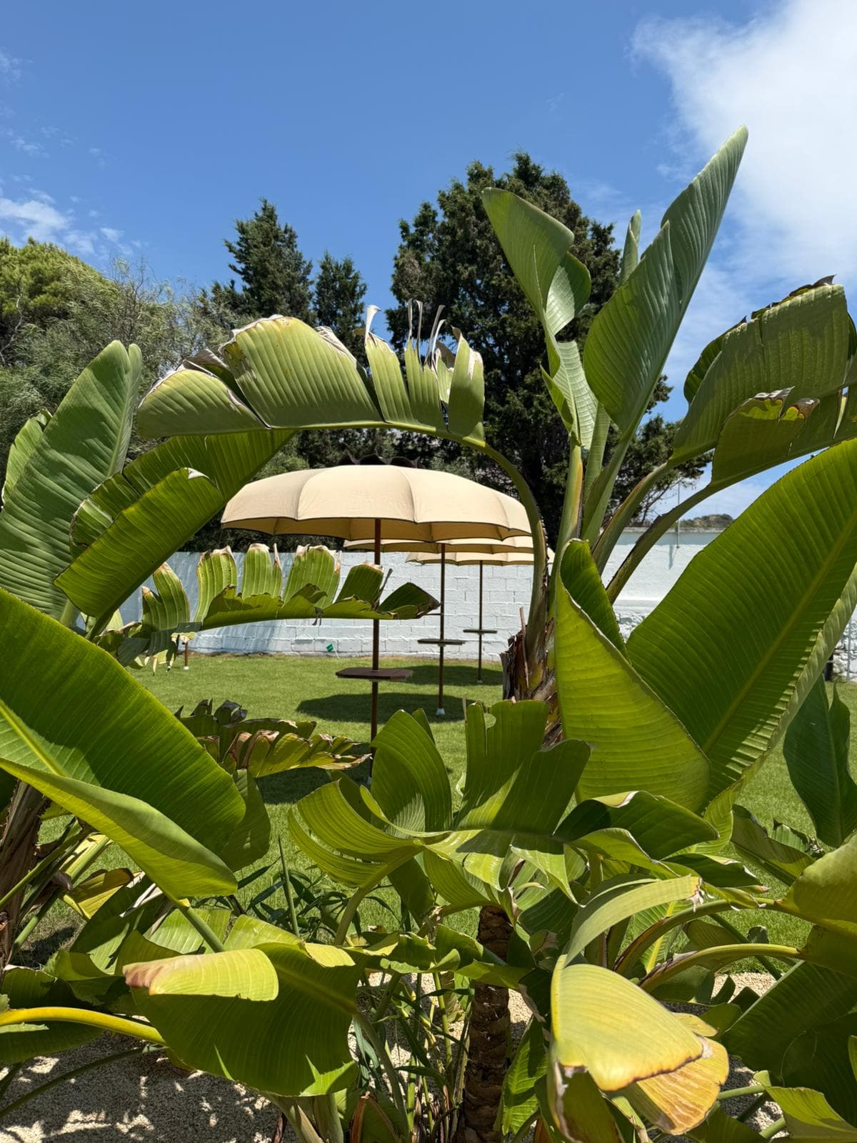 Il giardino dello stabilimento frontemare a Su Guventeddu, Pula