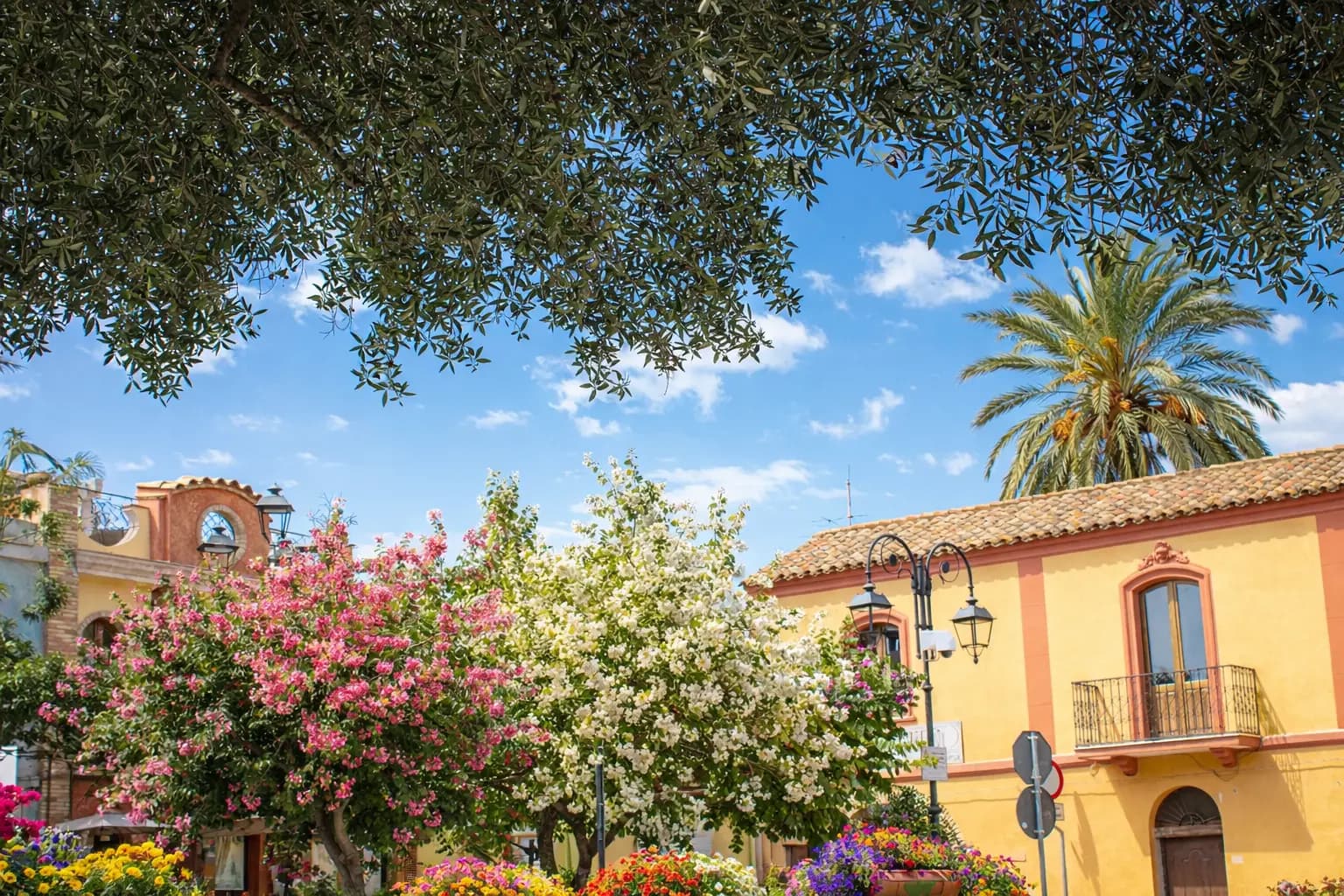 Arriva Sant’Efisio